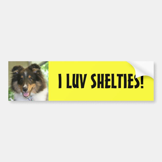 Sheltie, I LUV SHELTIES! Autoaufkleber (Vorne)
