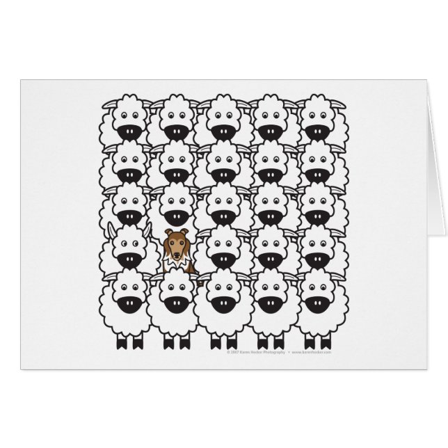 Sheltie in den Schafen (Vorderseite (Horizontal))