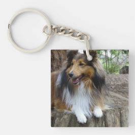 Sheltie in the woods schlüsselanhänger