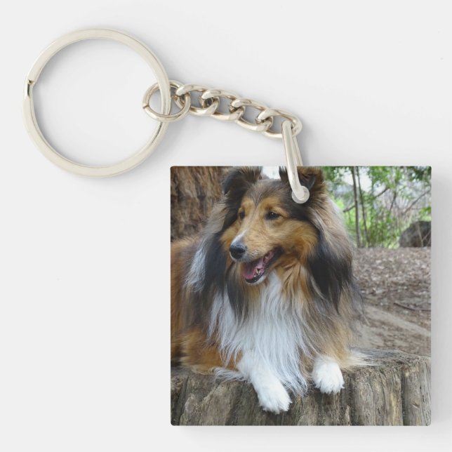 Sheltie in the woods schlüsselanhänger (Vorderseite)