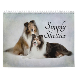 Sheltie Kalender