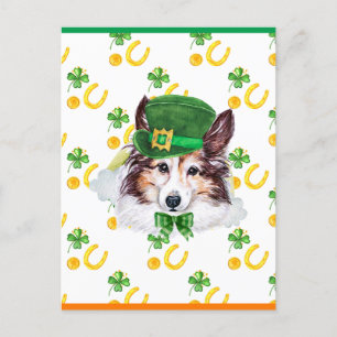 Sheltie Kleeblatt St. Patricks Day Feiertagspostkarte