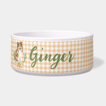 Sheltie Laurel in einer Laurel Zweigstelle | PERSO