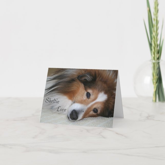 Sheltie Liebe Karte (Vorderseite)