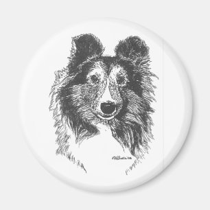 Sheltie Magnet
