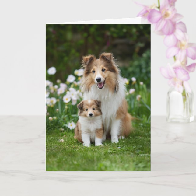 Sheltie-Mama Muttertag Liebe Karte (Orchidee)