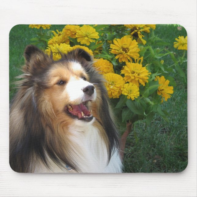 Sheltie Mousepad (Vorne)