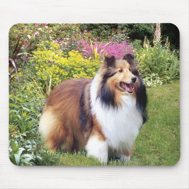 Sheltie Mousepad (Vorne)