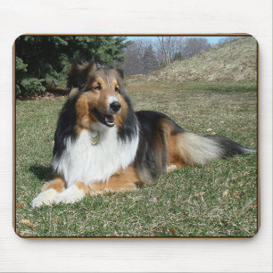 sheltie_mpad4 mousepad