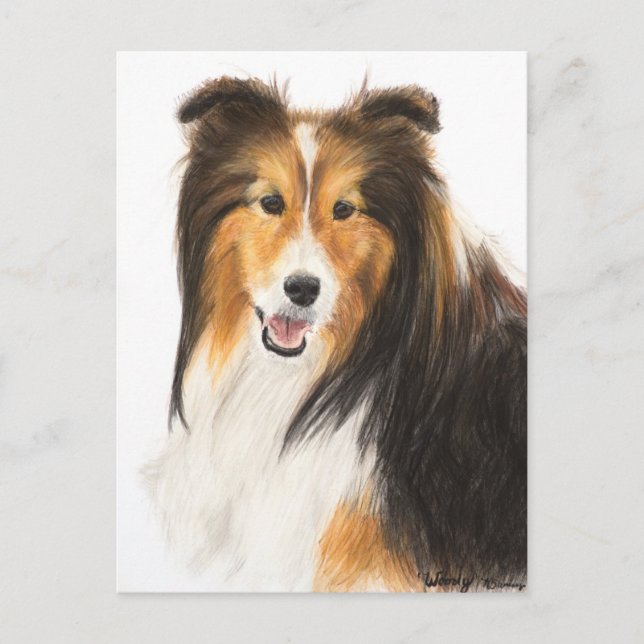 Sheltie oder Shetland Sheepdog-Malerei Postkarte (Vorderseite)