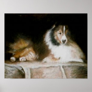 Sheltie Plakat