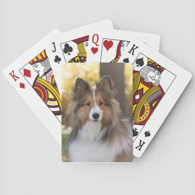 Sheltie Playing Cards Spielkarten (Rückseite)