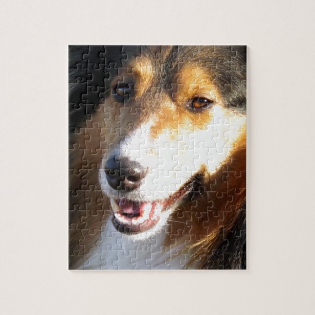 Sheltie Puzzle (Vertikal)