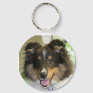 Sheltie Schlüsselanhänger