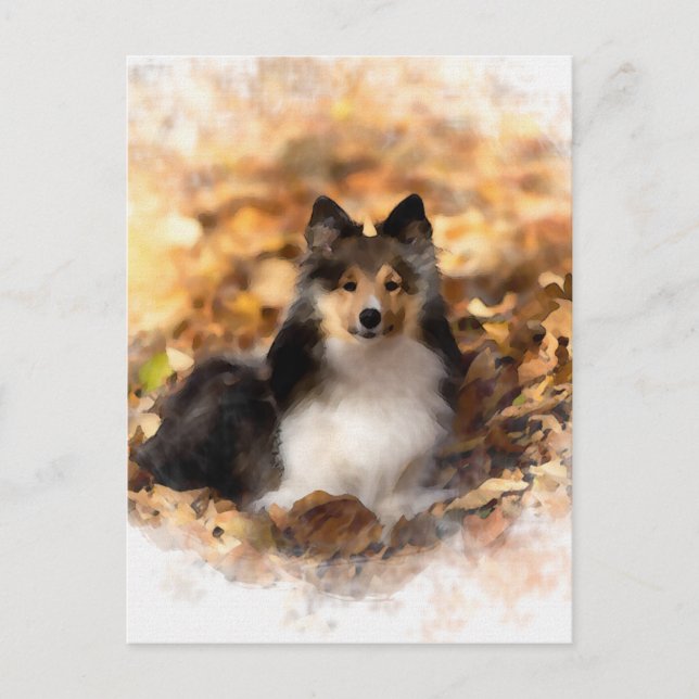 Sheltie Shetland Sheepdog Art Malerei Postkarte (Vorderseite)