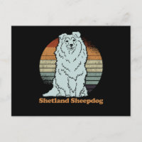 Sheltie Shetland Sheepdog | Hundebesitzer