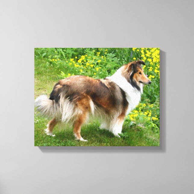Sheltie Shetland Sheepdog Leinwand (Vorderseite)