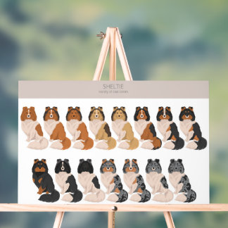 Sheltie, Shetland Sheepdog-Mischung Acrylschild