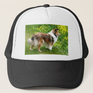 Sheltie Shetland Sheepdog Painting Truckerkappe