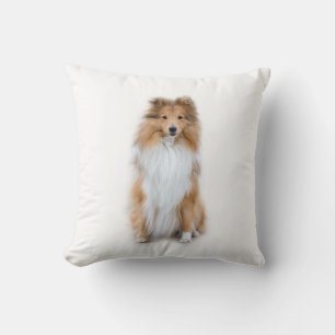 Sheltie Shetland Sheepdog Pillow Kissen