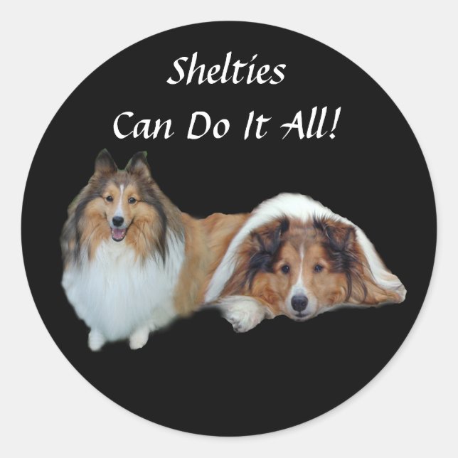 Sheltie Sticker (Vorderseite)