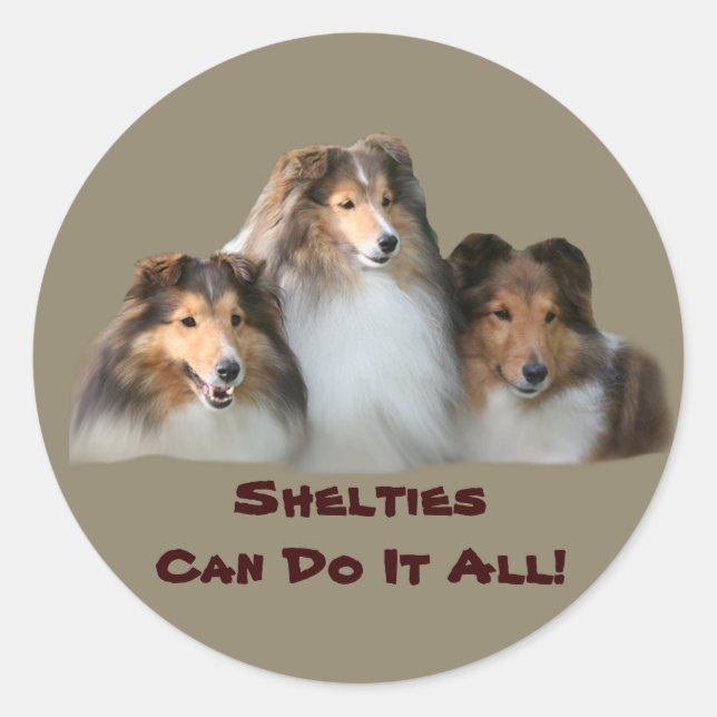 Sheltie Sticker (Vorderseite)