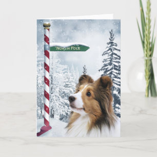 Sheltie Weihnachten