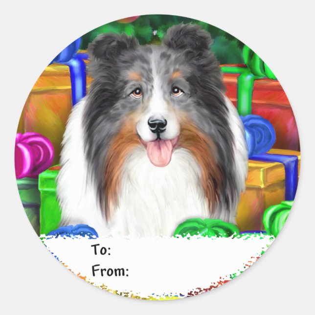 Sheltie Weihnachten Open Geschenke Blue Merle Gesc Runder Aufkleber (Vorderseite)