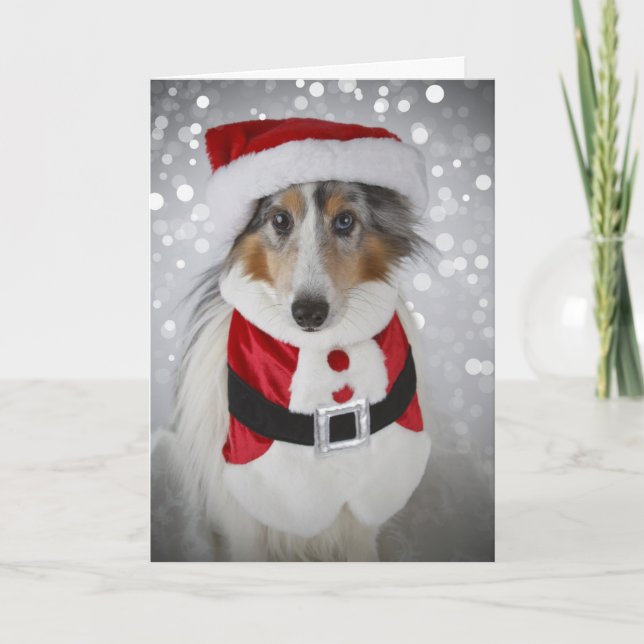 Sheltie Weihnachtsmann Feiertagskarte (Vorderseite)