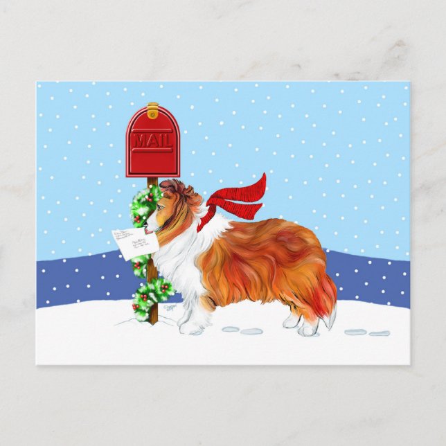 Sheltie Weihnachtspost-Zobel Feiertagspostkarte (Vorderseite)