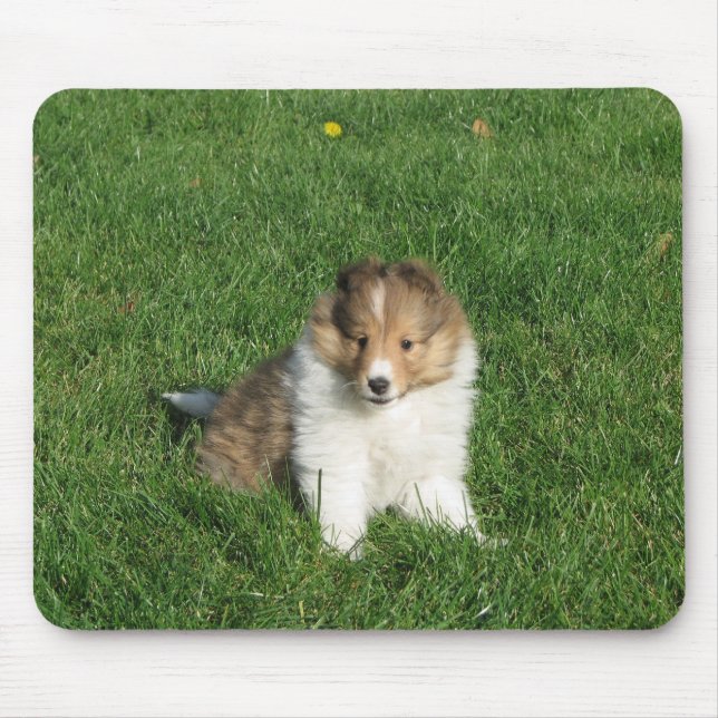 Sheltie Welpe in Gras mousepad (Vorne)