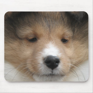 Sheltie Welpengesicht Mousepad