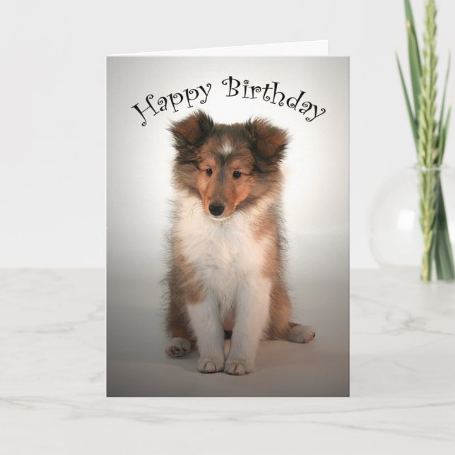 Sheltie Welppy Birthday Card Karte (Vorderseite)