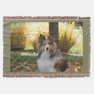 Sheltie Wurfs-Decke Decke