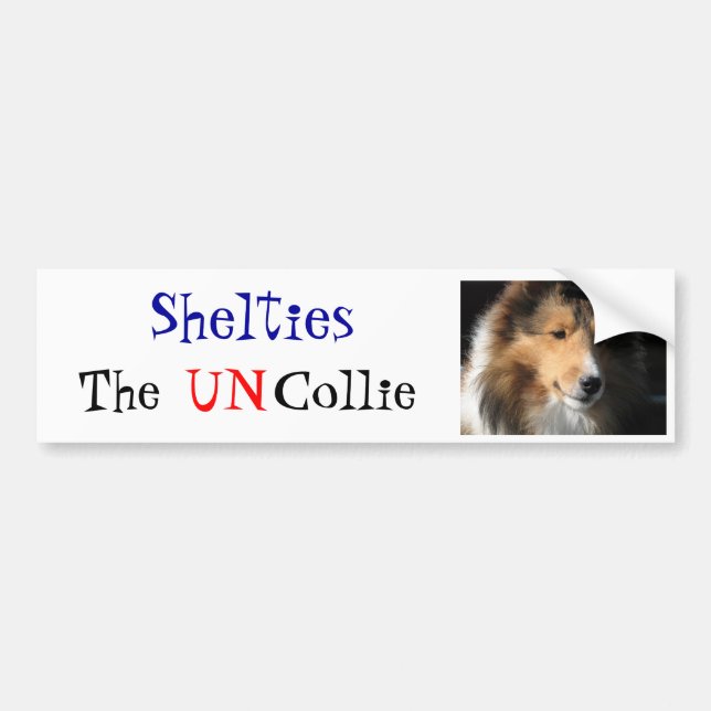 Shelties der UNO-Collie-Autoaufkleber Autoaufkleber (Vorne)
