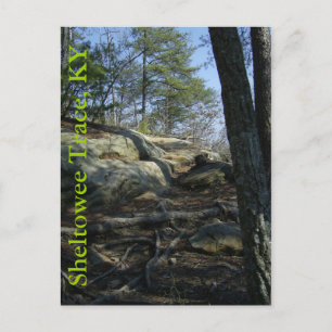 Sheltowee Trace KY Postkarte
