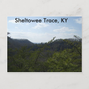 Sheltowee Trace Postkarte