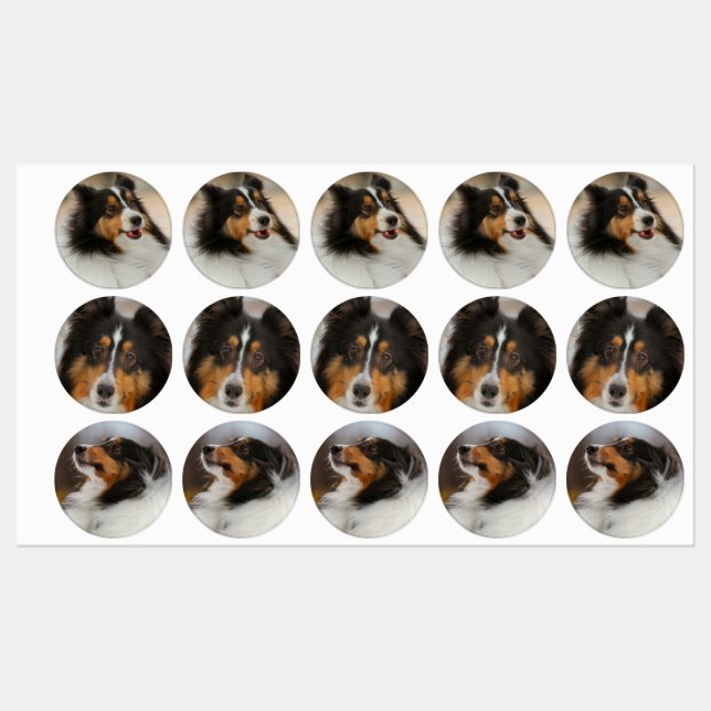 Shelty Etiketten (Blatt)