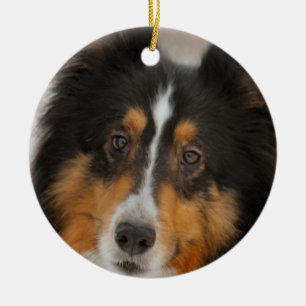 Shelty Keramik Ornament