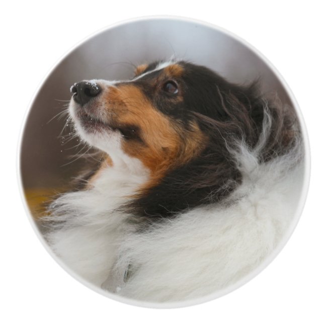 Shelty Keramikknauf (Vorderseite)