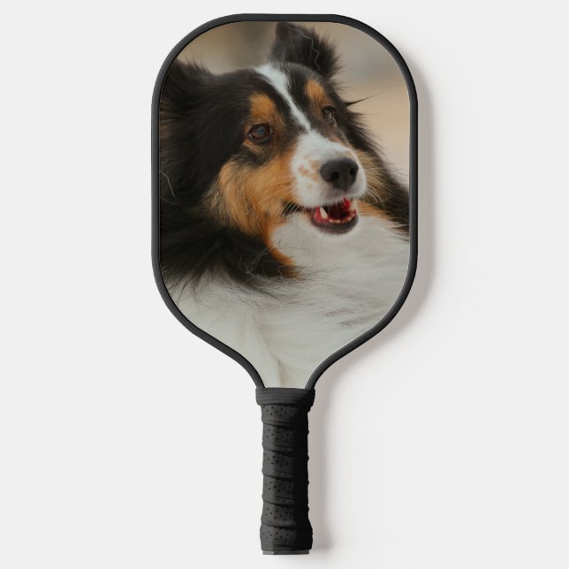 Shelty Pickleball Schläger (Vorderseite)