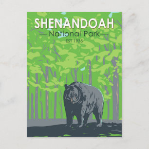 Shenandoah Nationalpark Schwarzbär Vintage Postkarte