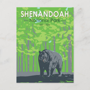 Shenandoah Nationalpark Schwarzer Bär Vintag Postkarte