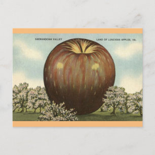 Shenandoah Valley, Virginia Giant Apple Postcard Postkarte
