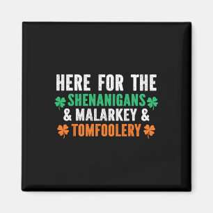 Shenanigans Malarkey Und Tomfoolery Lustiger St. P Magnet