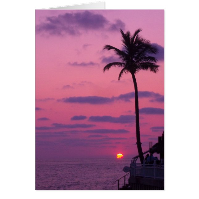 Shephards Sunset, Clearwater, Fl. (Vorne)