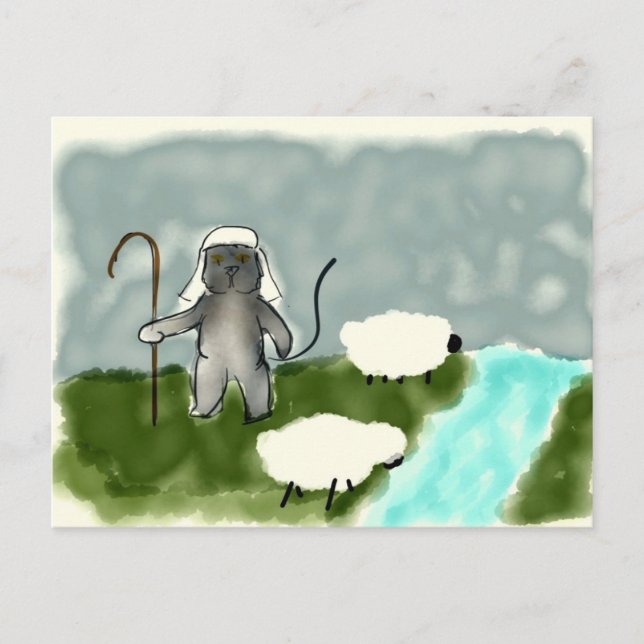 Shepherd Cat Postcard Postkarte (Vorderseite)