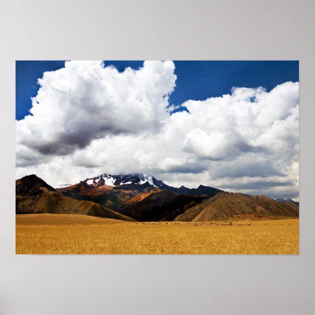 Shepherd und Seine Flock in den peruanischen Anden Poster (Vorne)