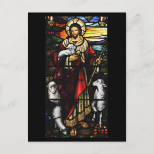 Shepherd und Seine Schafe St. JohnsAshfiel Postkarte