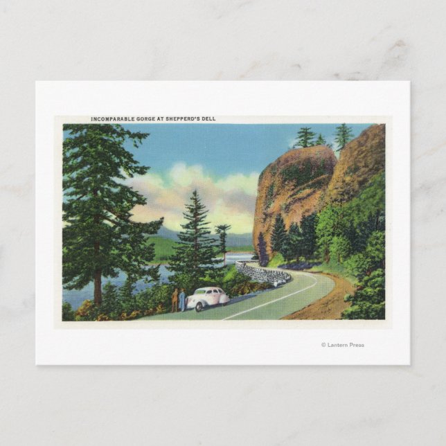 Shepperds Dell-Sicht auf unvergleichliche Schlucht Postkarte (Vorderseite)